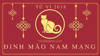 Tử vi 2018 tuổi Đinh Mão  1987 nam mạng [upl. by Arbua]