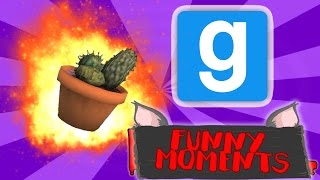 CACTUS STEALING  WAR  Gmod Funny Moments [upl. by Cristi164]