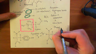 The Ligand Binding Domain of Nicotinic Acetylcholine Receptors Part 3 [upl. by Goodkin]