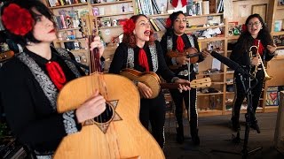 Mariachi Flor De Toloache NPR Music Tiny Desk Concert [upl. by Holland362]