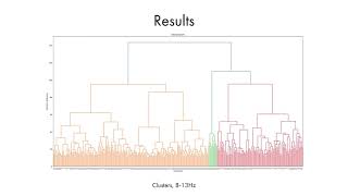 NMC4 Classification of brain functional connectivity patterns during the Sternberg WM task [upl. by Aniaz]