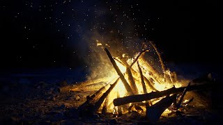 History of the Yule Log Ancient Pagan Ritual to Modern Christmas Tradition [upl. by Eseilanna]