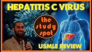 Hepatitis C Virus for USMLE [upl. by Allemac275]