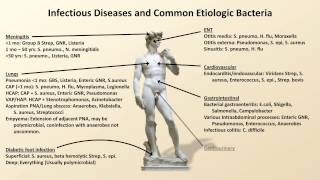 Bacterial Etiologies of Common Infections Antibiotics  Lecture 2 [upl. by Rik]