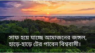 সাফ হয়ে যাচ্ছে আমাজনের জঙ্গল হাড়েহাড়ে টের পাবে বিশ্ববাসী। [upl. by Annitsirhc30]