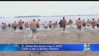 Swimmers Shake Off Cold For L Street Brownies Polar Plunge In South Boston [upl. by Bird]