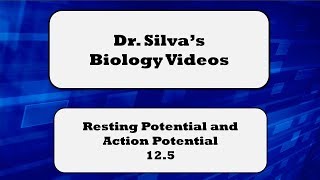 Resting Potential and Action Potential – 125 – Biol 189 [upl. by Enyleve123]