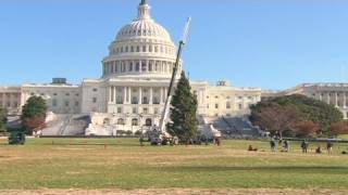 CNN National Christmas tree in place [upl. by Estell]