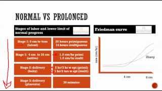 obstetrics 6 Normal labor  stages presentation position note writing [upl. by Adnawot340]