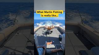 What Marlin Fishing Is Really Like  fishing marlinfishing fishinglife [upl. by Laval]