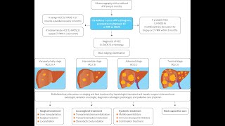 Treatment of Liver Cancer by Stage [upl. by Aurelio29]