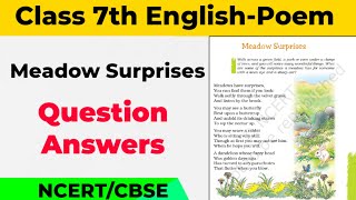 Meadow Surprises Class 7th Question Answers ll Class 7th English Meadow Surprises Question Answers l [upl. by Belak]