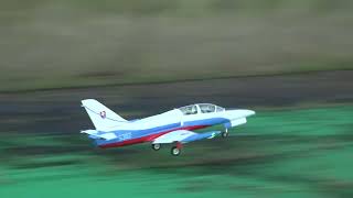 Freewing L39 Albatros 80mm EDF Jet20231001 [upl. by Jeunesse]