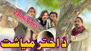 Da Akhtar Mayshat New Funny Video Zalmi Vines tranding [upl. by Joceline176]