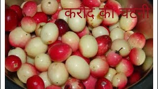 करौंदे की चटनी । Karonde Ki Chatni [upl. by Annoyi677]