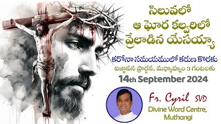 Divine Mercy Intercession Fr Cyril Doss SVD  Divine Word CentreMuthangi  14092024 [upl. by Vacla]