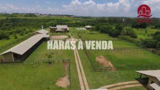 HARAS À VENDA EM SALTO SP 100 KM DE SÃO PAULO [upl. by Eudoxia]