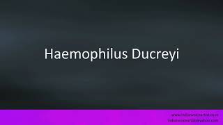 Pronunciation of the words quotHaemophilus Ducreyiquot [upl. by Machute]