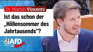 SPD enttäuscht Weltuntergang abgesagt – Dr Martin Vincentz AfD [upl. by Okim]