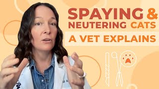 The Truth About Spaying and Neutering Cats A Complete Guide [upl. by Eerized]