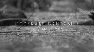 Arsen Dedić  Moderato cantabile Official lyric video [upl. by Rutherford]