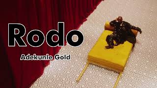 Adekunle Gold  Rodo Lyrics video [upl. by Ahsiekit432]