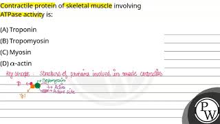 Contractile protein of skeletal muscle involving ATPase activity is [upl. by Coster]