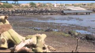 Tsunami Footage  Kahului Harbor Maui  Friday March 11 2011 by Wendy Osher [upl. by Berni]