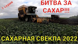 Уборка сахарной свёклы 2022 в БашкирииSugar beet harvest 2022 Будни тракториста Деревенская жизнь [upl. by Neelyad74]