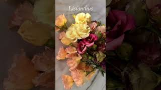 How to grow Lisianthus [upl. by Pega]