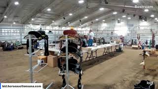 Lumberton Horse and Tack Auction Lumberton NC [upl. by Ttemme514]