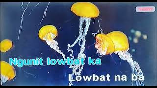 lowbat naba karaoke versionganny brown [upl. by Orsola]