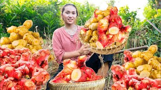 185 Days Harvesting GALANGAL ROOTS TURMERICGoes To The Market Sell Making garden  Cooking [upl. by Alexandrina]