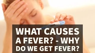 What Causes a Fever  Why Do We Get Fever [upl. by Yssirc]