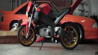 2004 Buell XB12S with Hawk Performance Exhaust [upl. by Arraeis459]