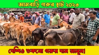 আমবাড়ি গরুর হাট ২০২৩  শুকনো গরু ফ্রিজিয়াম গাভী এবং ষাঁড় গরুর দাম জানুন ambari gorur haat 2023 [upl. by Abey]