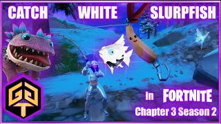 How to Catch White Slurpfish Best Place Fortnite Chapter 3 Mountainous Area Rave Cave Command Cavern [upl. by Oag]