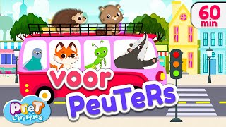 Voertuigen Dierengeluiden Boerderijdieren amp meer Pretlettertjes Kinderfilmpjes [upl. by Snevets]