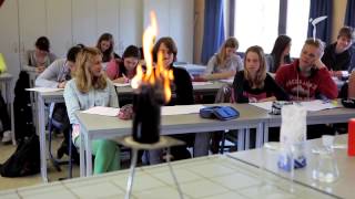 Freie Waldorfschule Gladbeck  InfoFilm [upl. by Hapte]