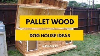 50 Creative Pallet Wood Dog House Ideas for Home [upl. by Aciamaj]