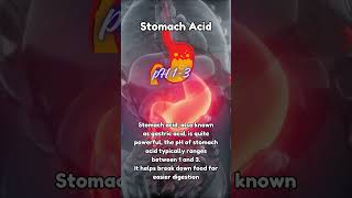 Power of Stomach Acid HCL in our body [upl. by Danby978]