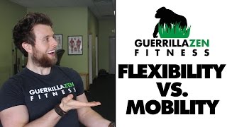 Flexibility vs Mobility  The Differences [upl. by Cadal]