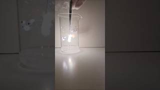 Magnesium burning in CO2 educational experiment chemistry science [upl. by Adela]