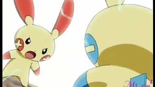 plusle and minun Pokemon AMV [upl. by Ahsienod788]