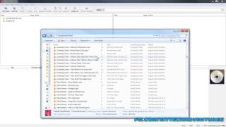 How to Automatically Tag and Organize a Music Library Including Genre PART 1 [upl. by Pietra861]