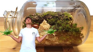 Ewiges Terrarium  Glas Biotop selber bauen [upl. by Simonsen59]