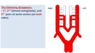 Embryology of the arteries  DrAhmed Farid [upl. by Heall]