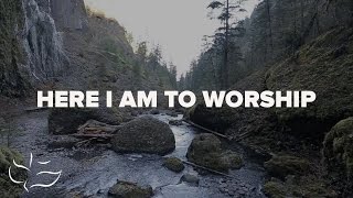 Here I Am To Worship  Maranatha Music Lyric Video [upl. by Wehttam]