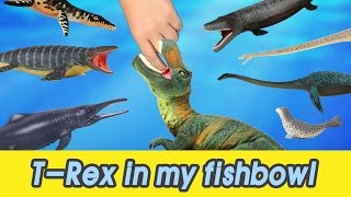 EN 54 Lets raise Trex in my fishbowl kids education Dinosaurs animationㅣCoCosToy [upl. by Lanette]