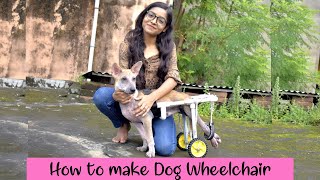 How to make dog wheelchair at home  How to make dog wheelchair step by step  How to make dog wheel [upl. by Ahsyt]